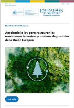 Boletín Trimestral de Estrategias Marinas nº 5