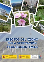 Efectos del ozono en la vegetación y los ecosistemas