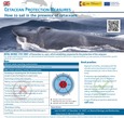 Portada de: Medidas del Real Decreto de protección de cetáceos