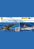 Portada de: Medidas de Protección de Cetáceos