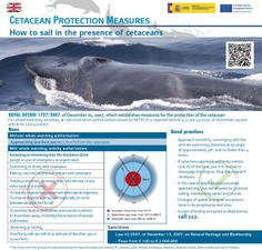 Medidas del Real Decreto de protección de cetáceos