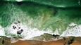 Portada de: Un mar de todos [Videograbación]