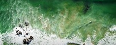 Un mar de todos [Videograbación]