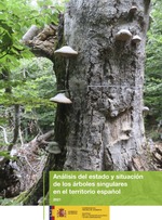 Análisis del estado y situación de los árboles singulares en el territorio español