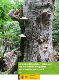 Análisis del estado y situación de los árboles singulares en el territorio español 2021
