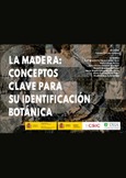 La madera: conceptos clave para su identificación botánica