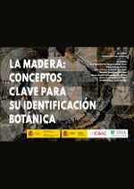 La madera: conceptos clave para su identificación botánica