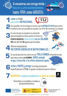 Díptico sobre capturas accidentales: cetáceos