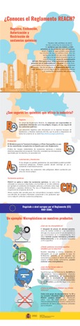 Infografía Reglamento REACH