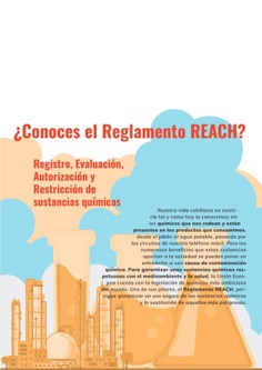 Infografía Reglamento REACH