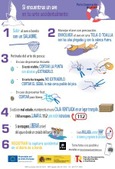 Díptico sobre capturas accidentales: Aves marinas