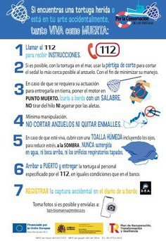 Díptico sobre capturas accidentales: Tortugas