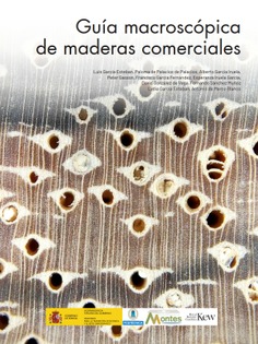 Guía macroscópica de maderas comerciales