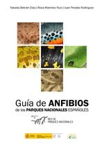 Guía de anfibios de los Parques Nacionales Españoles