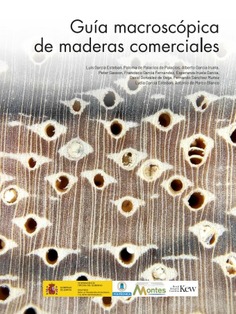 Guía macroscópica de maderas comerciales