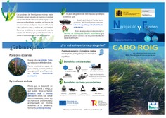 Carteles sobre praderas de fanerógamas y navegación