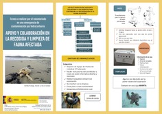 Apoyo y Colaboración en la Recogida y Limpieza de Fauna Afectada