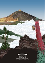 Ilustraciones de la Red de Parques Nacionales. Teide