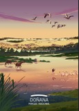 Portada de: Ilustraciones de la Red de Parques Nacionales. Doñana