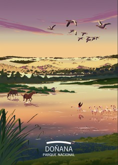 Ilustraciones de la Red de Parques Nacionales. Doñana
