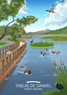 Ilustraciones de la Red de Parques Nacionales. Tablas de Daimiel
