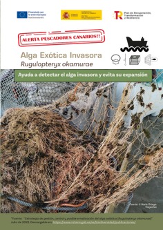Guía para detectar el Alga Exótica Invasora Rugulopteryx okamurae y evitar su expansión