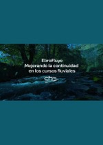 EbroFluye. Mejorando la continuidad en los cursos fluviales