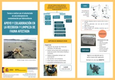 Apoyo y colaboración en la recogida y limpieza de fauna afectada