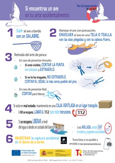 Captura accidental de aves