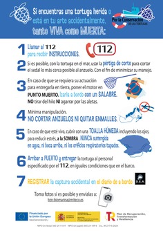 Captura accidental de tortugas