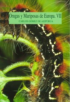Orugas y Mariposas de Europa. Tomo VII