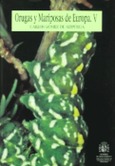 Orugas y Mariposas de Europa. Tomo V
