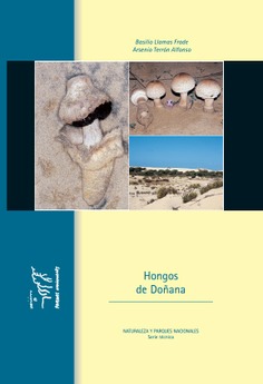 Hongos de Doñana