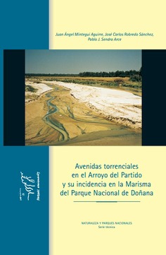 Avenidas torrenciales en el arroyo del Partido y su incidencia en la Marisma del Parque Nacional de Doñana