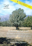 Hollada piel de toro - Del sentimiento de la naturaleza a la construcción del paisaje