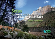 Setas del Parque Nacional de Ordesa y Monte Perdido. Tesoro a conservar