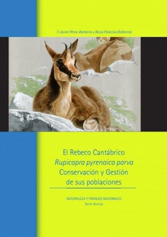 Rebeco cantábrico (Rupicabra pyrenaica parva), El