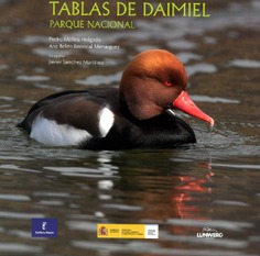 Tablas de Daimiel