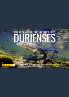 DURIENSES: Los Endemismos del Duero