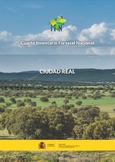 Cuarto Inventario Forestal Nacional. Ciudad Real