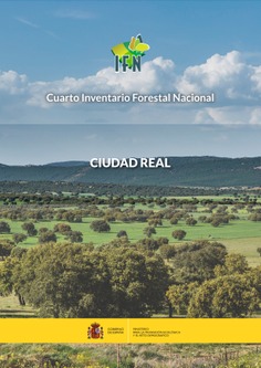 Cuarto Inventario Forestal Nacional. Ciudad Real