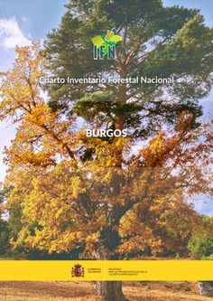 Cuarto Inventario Forestal Nacional. Burgos