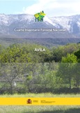 Cuarto Inventario Forestal Nacional. Ávila