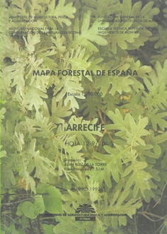 Mapa forestal de España. Arrecife. Hoja 12-9/10