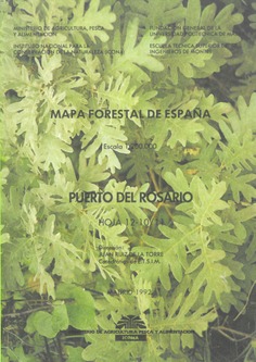 Mapa forestal de España. Puerto del Rosario. Hoja 12­10/11
