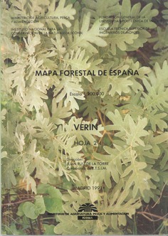 Mapa forestal de España. Verín. Hoja 2­4