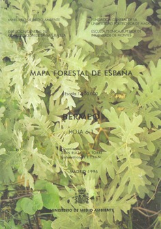 Mapa forestal de España. Bermeo. Hoja 6­1