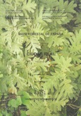 Mapa forestal de España. Ciudad Real. Hoja 5-8