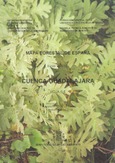 Mapa forestal de España. Cuenca-Guadalajara. Hoja 6-6