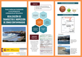 Portada de: Realización de transectos e inspección de zonas contaminadas